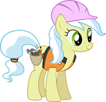 Builder Pony