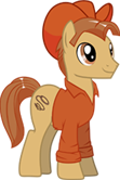 Canter Creek Cowpony