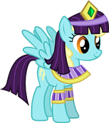 Sassaflash