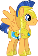 Flash Sentry