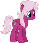 Granite Expert Pony