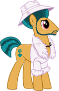 Groovy Stallion