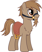 Longhorn's Pony