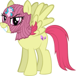 Masked Pony Gangster