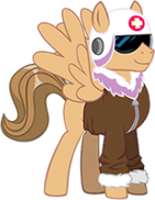 Paramedic Pony