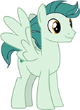 Seafoam Townspony