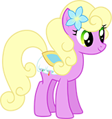 Spring Forward