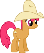 Sunny Appleloosan