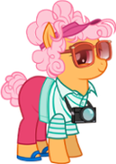 Sunny Resortgoer