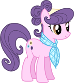 Suri Polomare