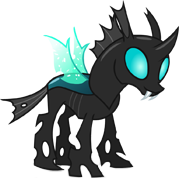 Thorax