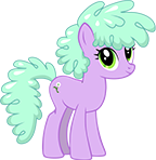 Wallflower Mare