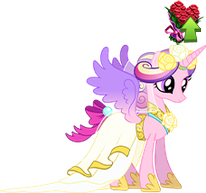 Wedding Party Cadance