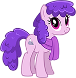 Wild West Poet Pony