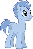 Wild West Racer Pony