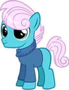Winter Comet