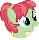 Apple Dumpling
