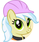 Builder Pony