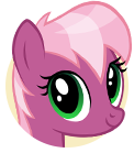 Cherry Blossom