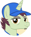Contractor Pony
