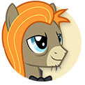 Cranky Doodle Pony