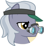 Eyeshade Pony