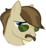 Flashy Pony