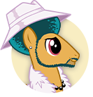 Groovy Stallion