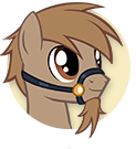 Longhorn's Pony