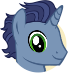 M.C. Pony