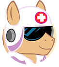 Paramedic Pony