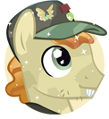 Pin Pony