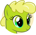 Canter Creek Farmpony