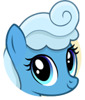 Canter Creek Ranchpony