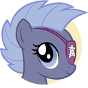 Rebel Rock Star Pony