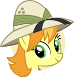 Safari Pony