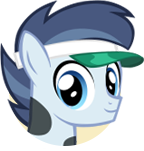 Shady Schoolpony