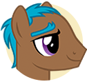 Silent Magician Pony