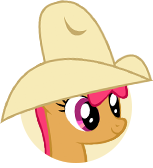Sunny Appleloosan