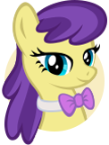 Violinist Pony