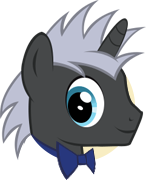 Wedding Guest Pony