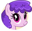 Wild West Poet Pony