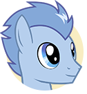 Wild West Racer Pony