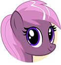 Wild West Rodeo Pony