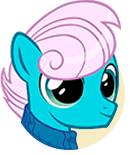 Winter Comet