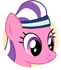 Wonderbolt Trainer
