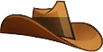Appleloosan Hat