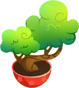 Bonsai