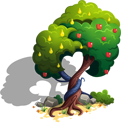 Apple-Pear Tree