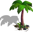Palm Tree